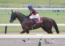 【注目馬動向】セリフォスは川田将雅騎手とのコンビでマイルＣＳへ