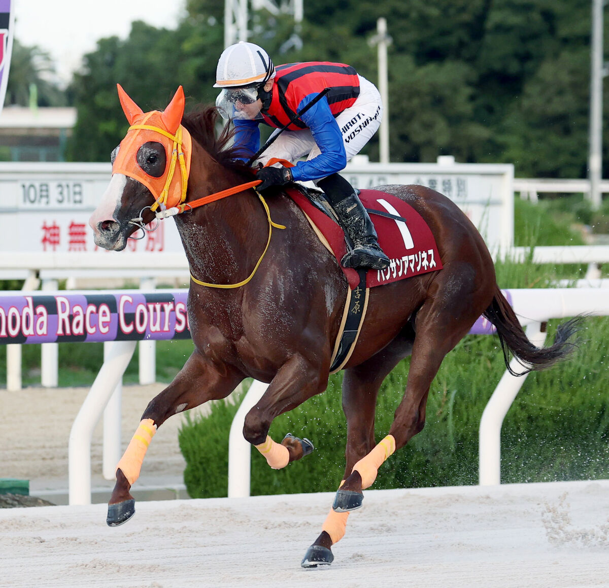 【園田・兵庫クイーンＣ】金沢の名牝ハクサンアマゾネスが国内最多タイの重賞２５勝目　圧倒的な強さで連覇