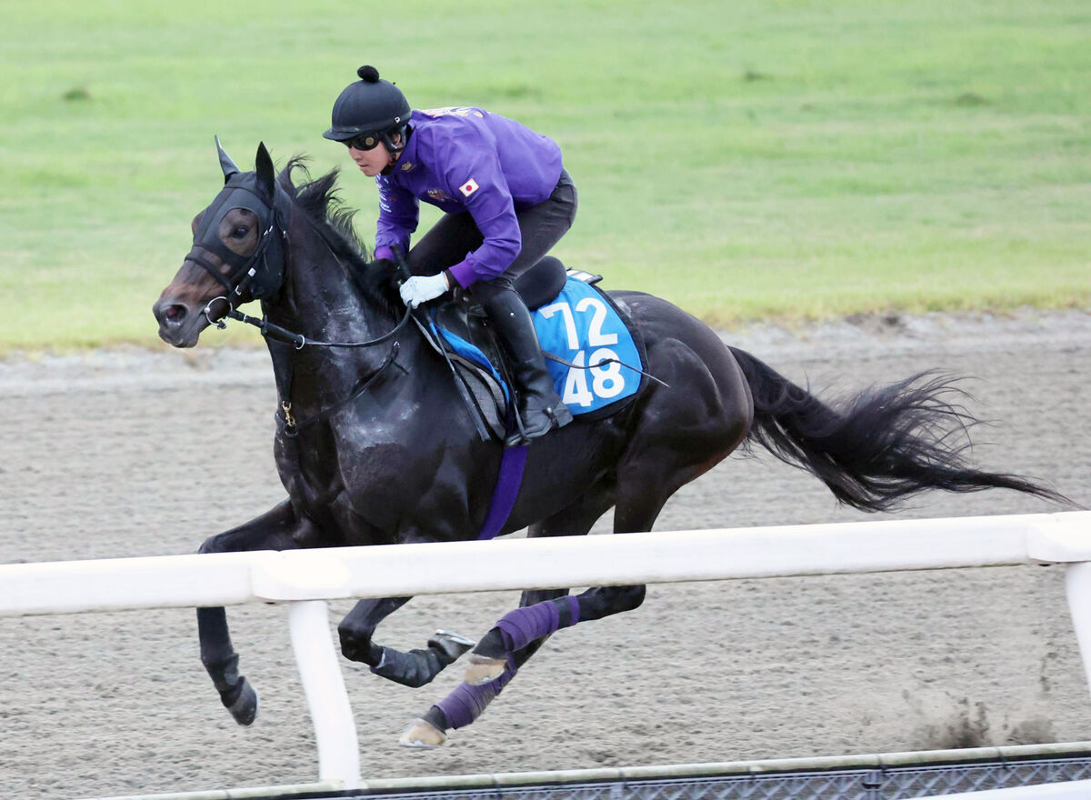 【アルゼンチン共和国杯】新潟記念２着馬が「ドウデュース式」仕上げで万全　友道厩舎の「１週前ＣＷ＆当週ＤＰ」で折り合いもバッチリ