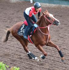 【注目馬動向】シンエンペラーはジャパンＣへ　日本ダービー３着の舞台で凱旋門賞１２着から巻き返しへ