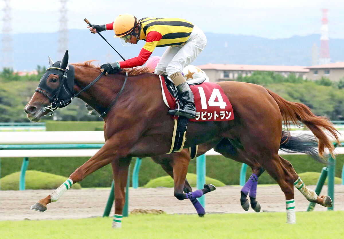 【ＰＯＧ】母は芝とダートで重賞Ｖ　ファジーロップが２日にデビュー　陣営「素軽い動きで芝が合いそう」