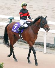 【注目馬動向】天皇賞・秋３着のホウオウビスケッツ　有馬記念を視野