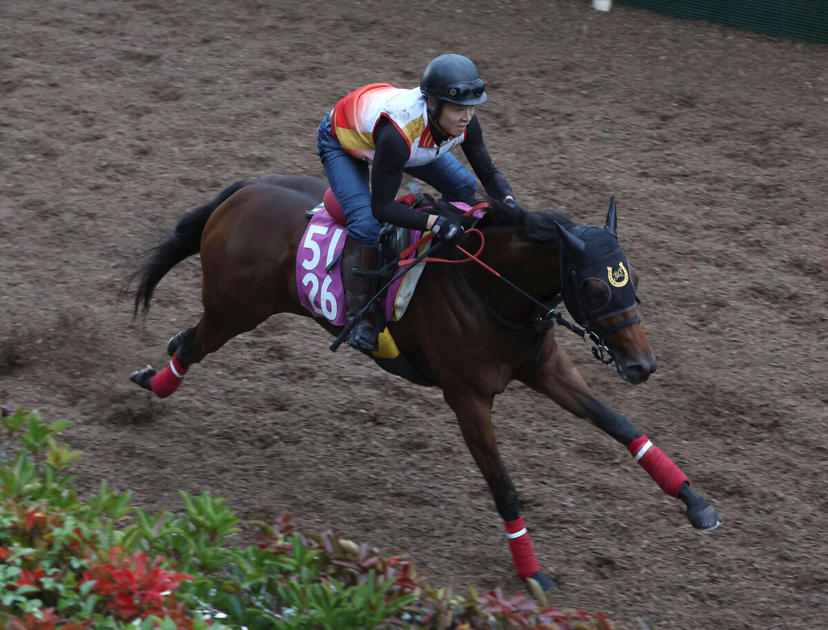 【ファンタジーＳ】２連勝中のカワキタマナレアは雨予報も問題なし　杉山佳調教師「高速馬場よりはいい」