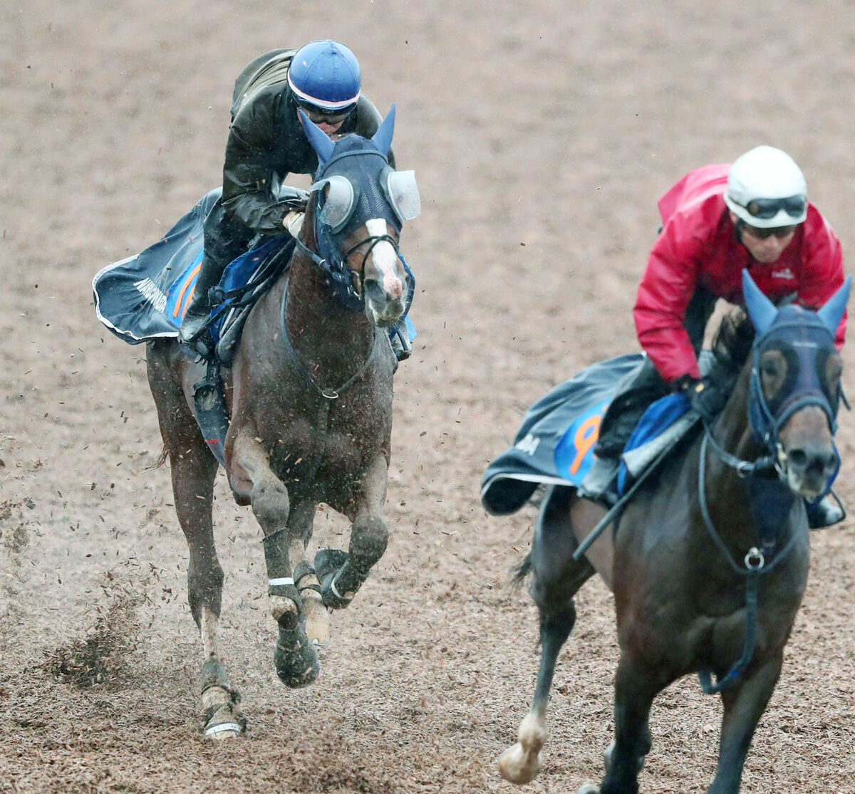 【みやこＳ】藤岡佑介騎手と初コンビのオメガギネスは５枠８番　実績馬ドゥラエレーデは２枠３番　枠順決定