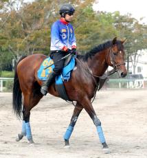 【アルゼンチン共和国杯】同舞台で３着あり　重賞初制覇狙う７歳馬は２枠４番　枠順確定