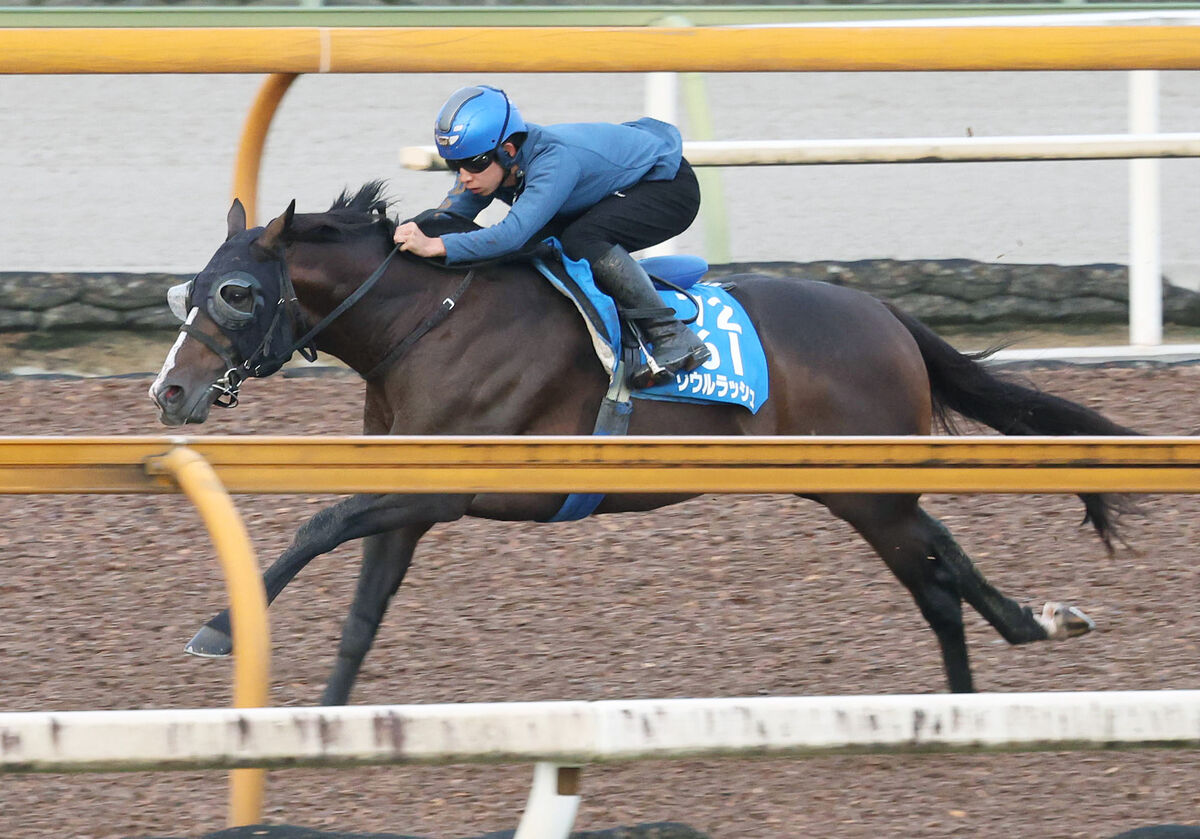 【注目馬動向】ソウルラッシュが香港マイルへの招待を受諾　昨年４着に続き２年連続の参戦