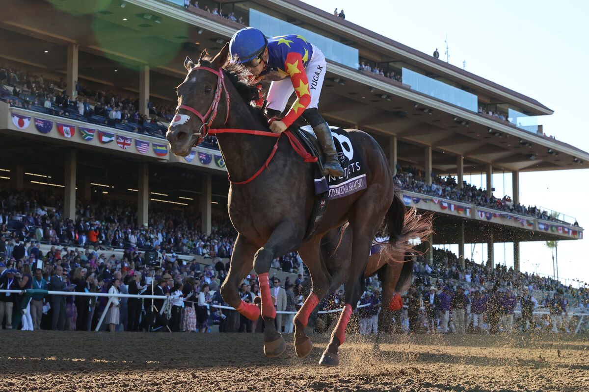 【ＢＣジュベナイルフィリーズ】日本勢牝馬２頭は惨敗！オトメナシャチョウ＆アメリカンビキニは７、９着