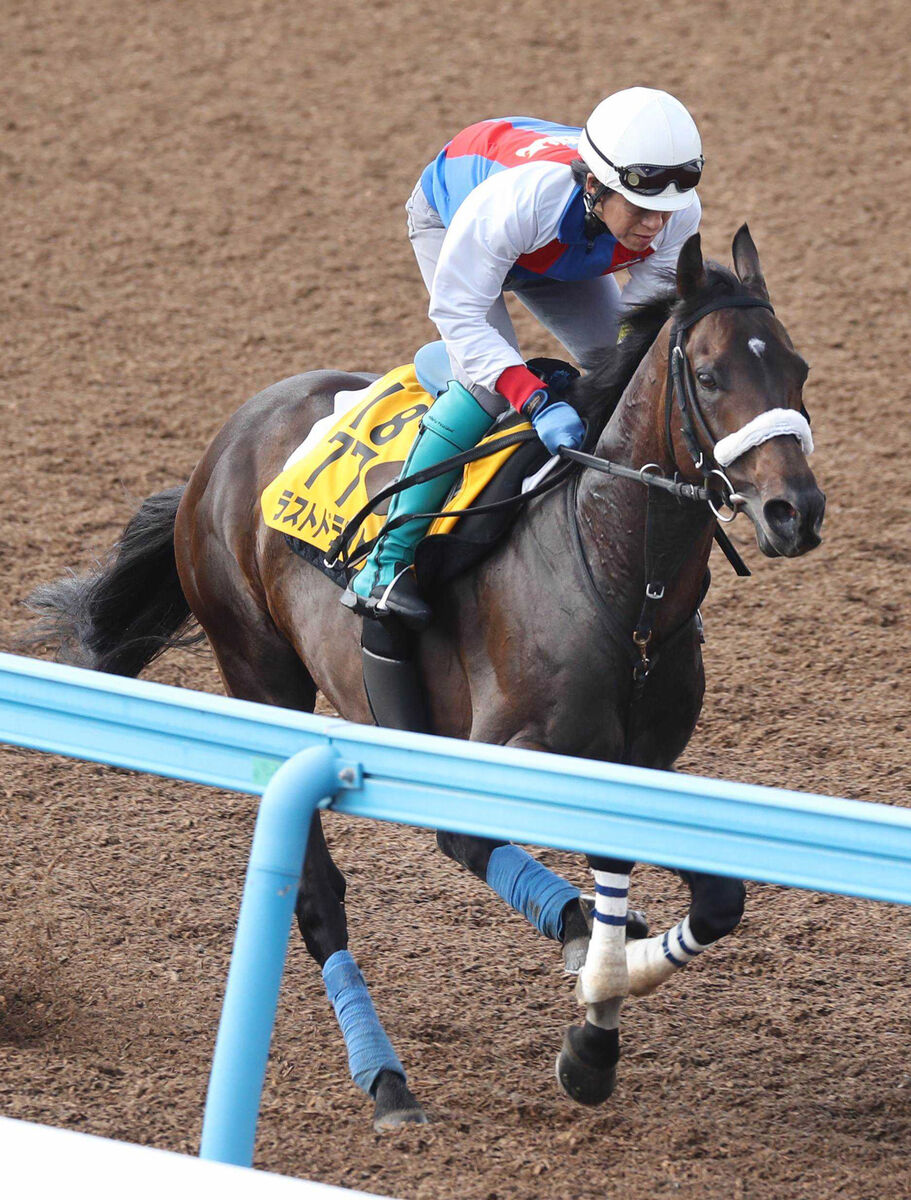 ラストドラフトが競走馬登録を抹消　２０１９年の京成杯の覇者　５月の初障害Ｖがラストラン