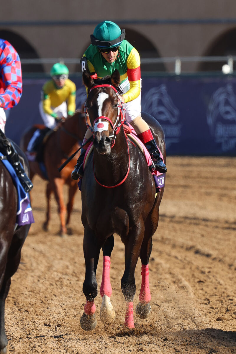 【ＢＣジュベナイルターフスプリント】日本馬２歳の快挙はならず　快速馬エコロジークは直線失速８着