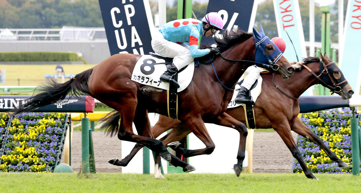 【東京４Ｒ・２歳未勝利】フランケル産駒のカネラフィーナがデビュー３戦目で初勝利