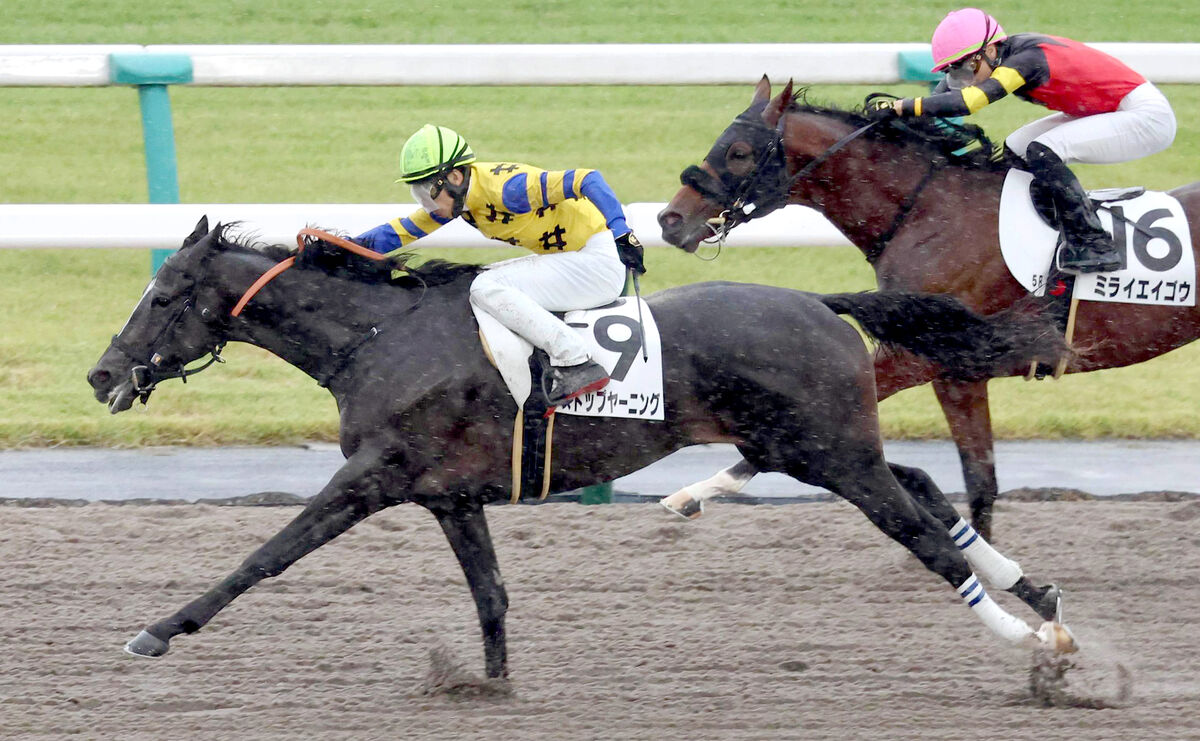 【京都５Ｒ・２歳新馬】「憧れるのやめましょう」と名付けられたサンダースノー産駒がＶ　長岡禎仁騎手はＪＲＡ通算１００勝