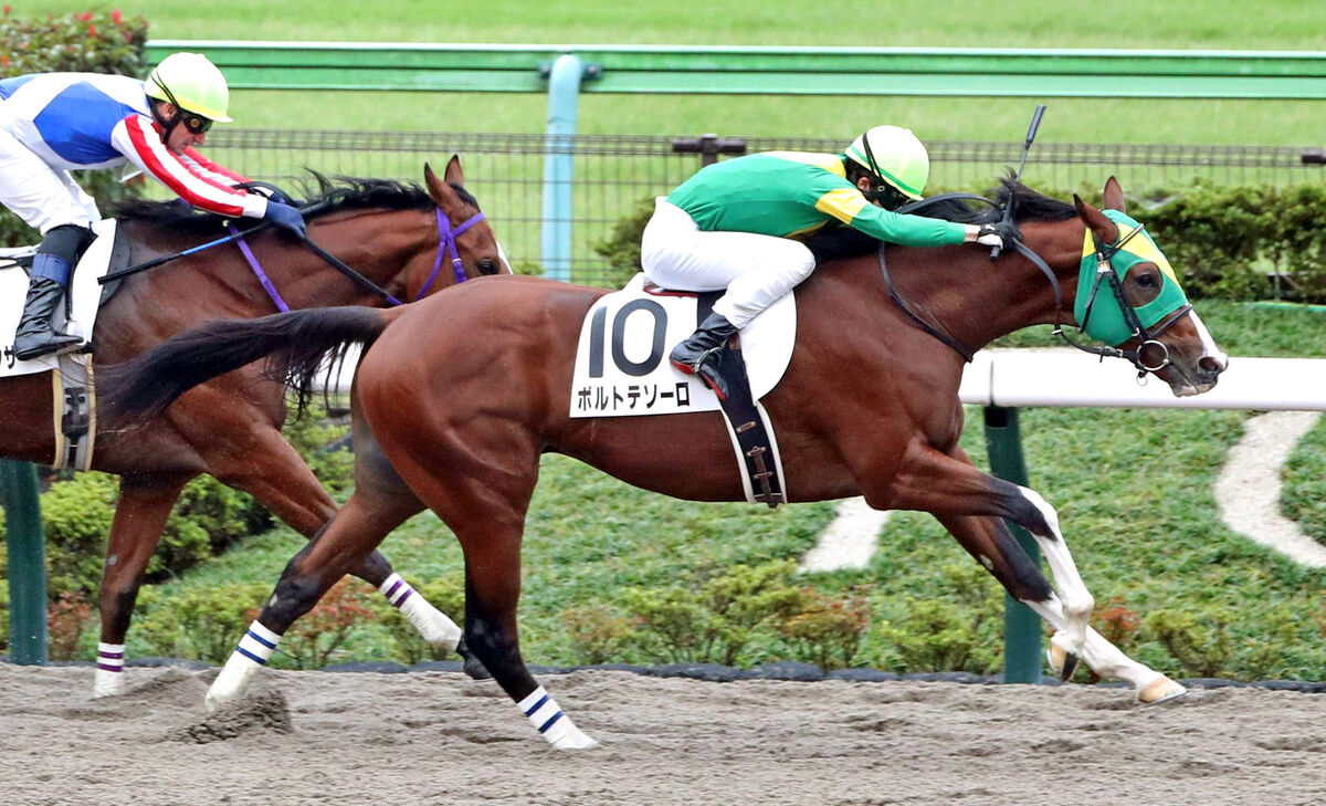 【東京６Ｒ・２歳新馬】ボルトテソーロが競り合いから１馬身差Ｖ　松山弘平騎手「非常に賢い馬」