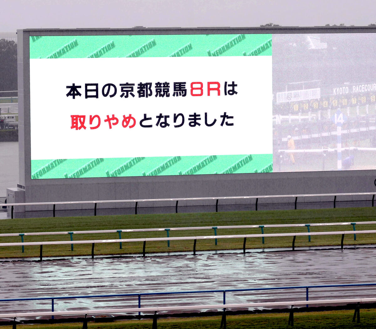 京都競馬８Ｒが激しい降雨の影響で安全が確保できずに中止