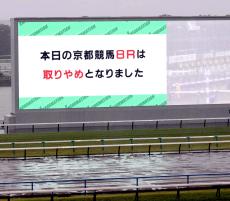 京都８Ｒが激しい降雨で中止　芝とダートの切れ目にできた水たまりで安全が確保できないため