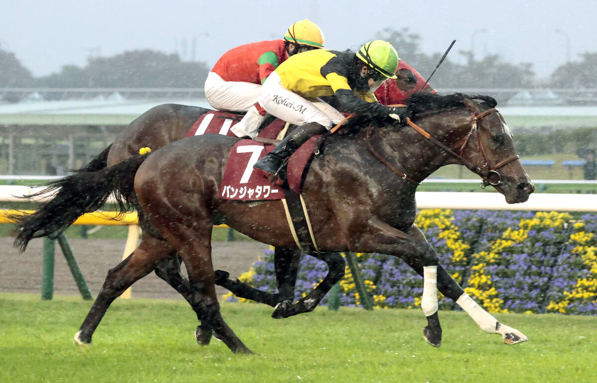 【京王杯２歳Ｓ】雨馬場で外から伸びたパンジャタワーが重賞初制覇　松山弘平騎手「まだまだ良くなる」