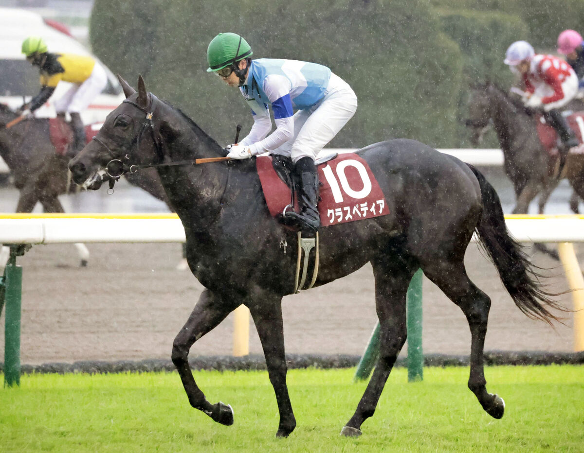 【京王杯２歳Ｓ】未勝利馬で重賞制覇を狙ったクラスペディアは５着　小崎綾也騎手「スタートが速すぎました」