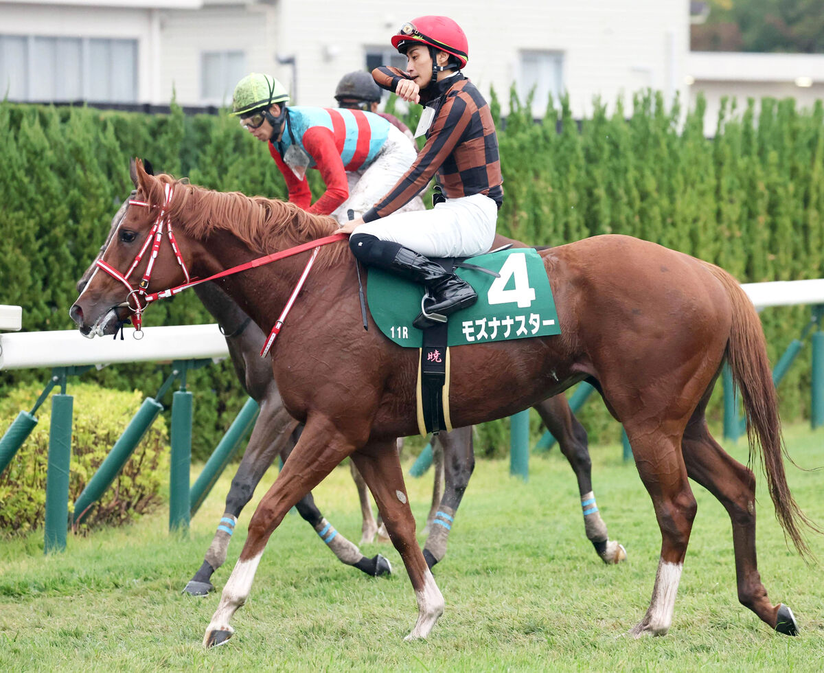 【ファンタジーＳ】１０番人気モズナナスター鼻差２着　富田暁騎手「最後は首の上げ下げで…」