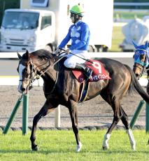 【アルゼンチン共和国杯】軽ハンデ４歳牝馬惜しい３着　格上挑戦も下克上Ｖならず