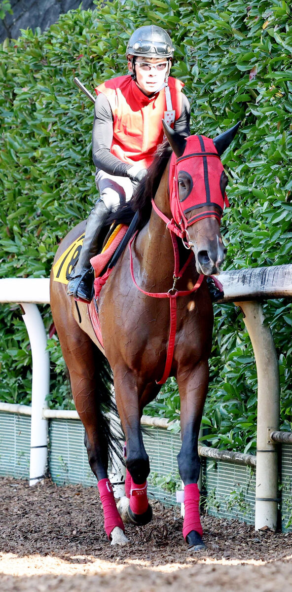 【エリザベス女王杯】１番人気は３歳レガレイラ予想も主役不在で大混戦　４歳上がり馬にもチャンスある