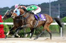 【ＪＢＣスプリント】タガノビューティー悲願の重賞初勝利でＪｐｎ１初制覇　石橋脩騎手「思い残すことはない」