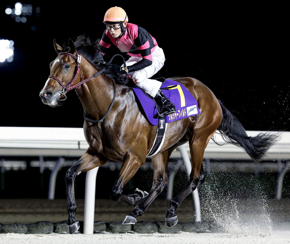 【ＪＢＣ２歳優駿】北海道のソルジャーフィルドがＪＲＡ勢撃破　４年ぶり地方馬Ｖに小野楓馬騎手「腹をくくって、後ろから」