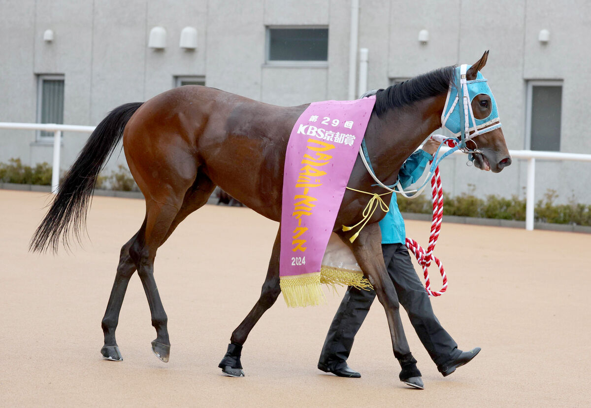 【注目馬動向】ダンツエランは引き続き団野大成騎手とのコンビで阪神ＪＦへ　ファンタジーＳから連勝狙う