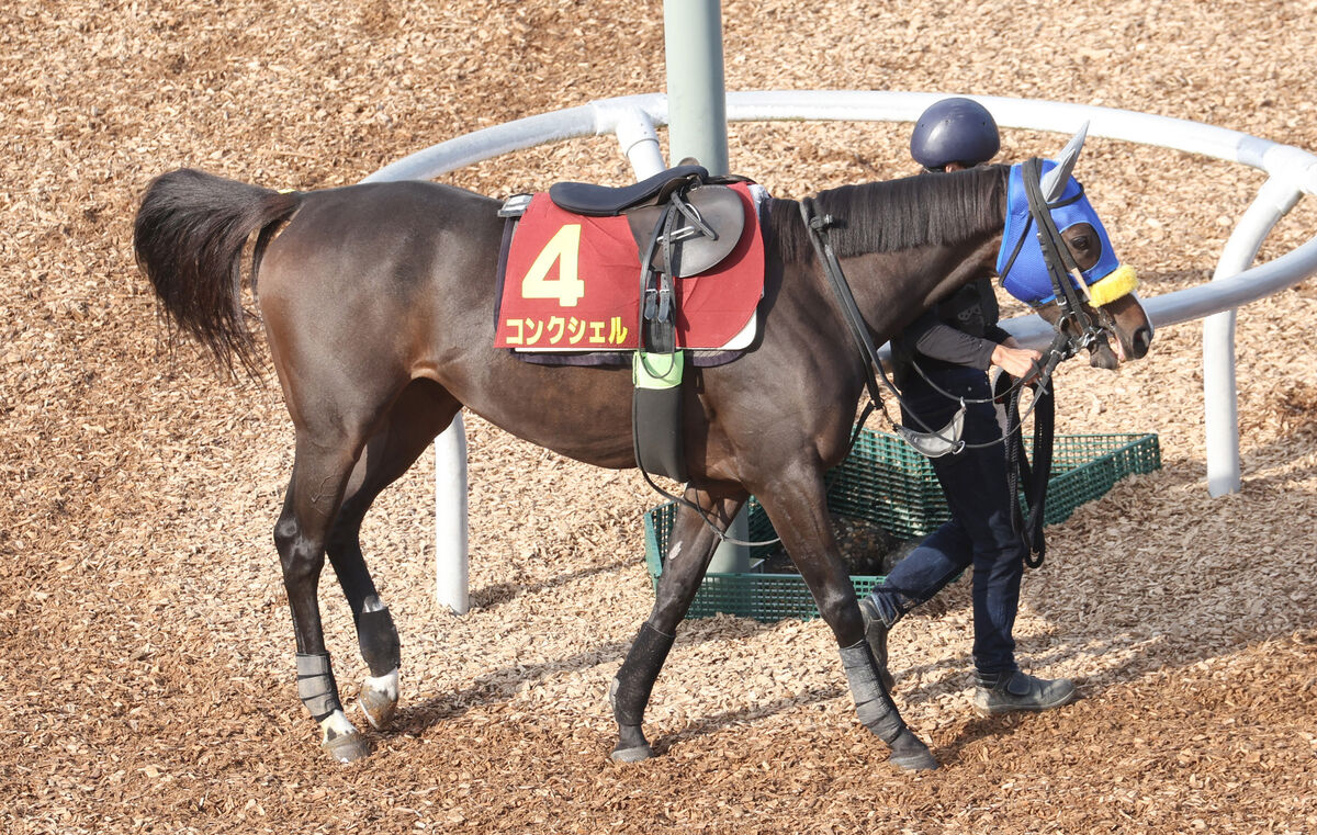 【エリザベス女王杯】府中牝馬Ｓ９着のコンクシェルが巻き返し狙う　清水久調教師「２２００メートルは大丈夫」