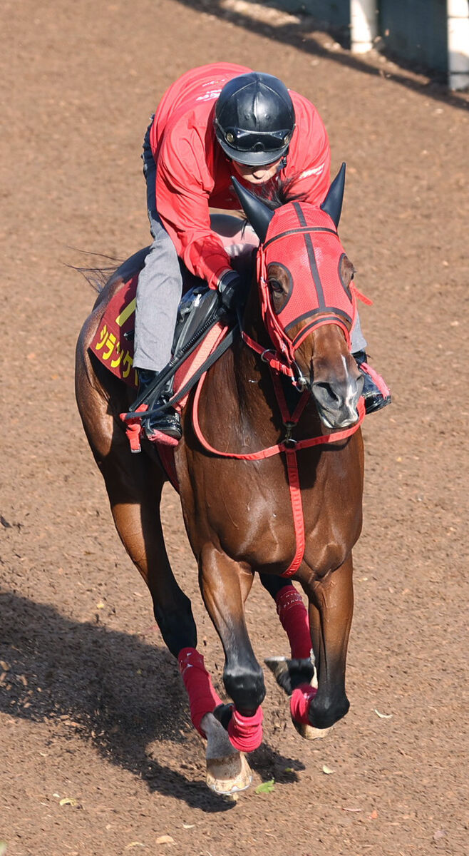 【エリザベス女王杯】２連勝中のシランケドが自重　中１週を考慮　牧浦調教師「回復しきれていない」