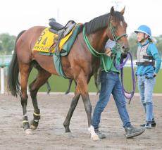 東京ジャンプＳを勝ったケイティクレバーの登録を抹消　引退後は乗馬に