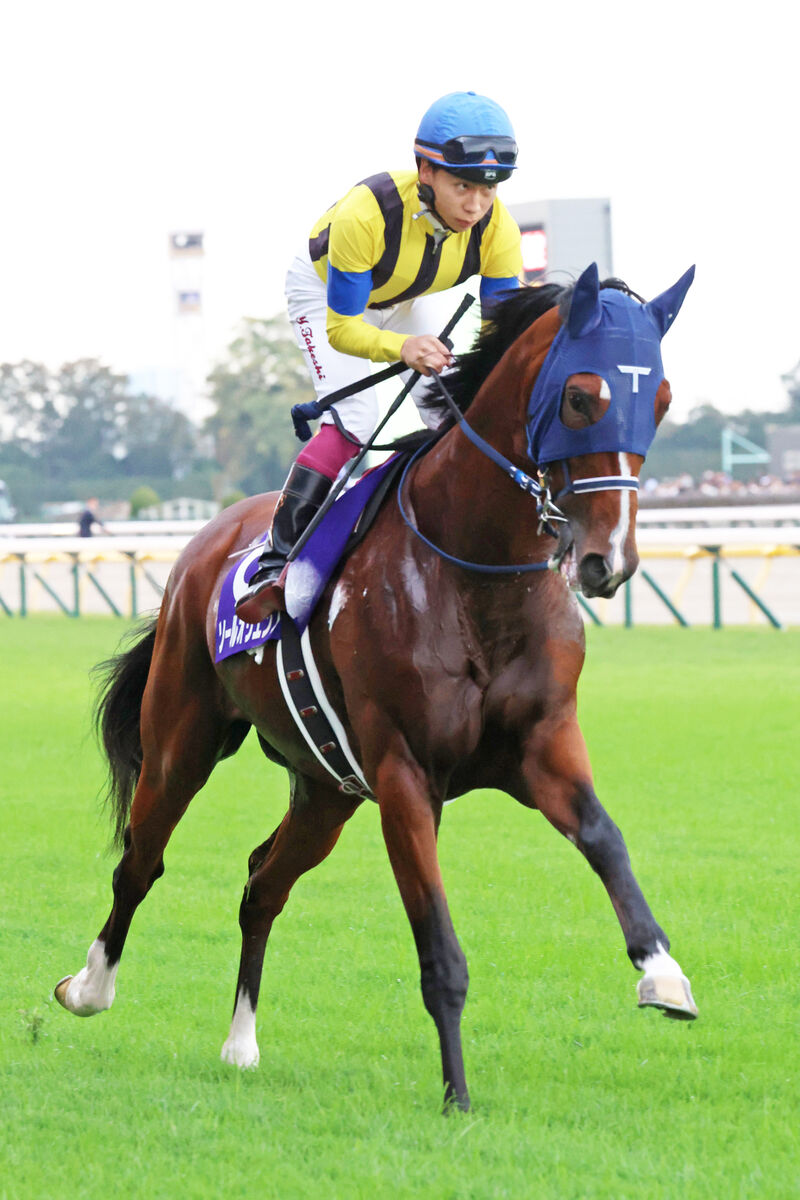 【注目馬動向】ソールオリエンスはジャパンＣで引き続き横山武史騎手とコンビ