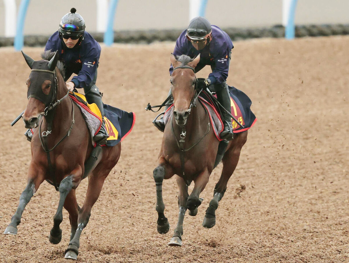 【エリザベス女王杯】Ｇ１・２勝目へ極上の切れ味披露した３歳馬　ホレボレする推進力と加速力で能力全開　