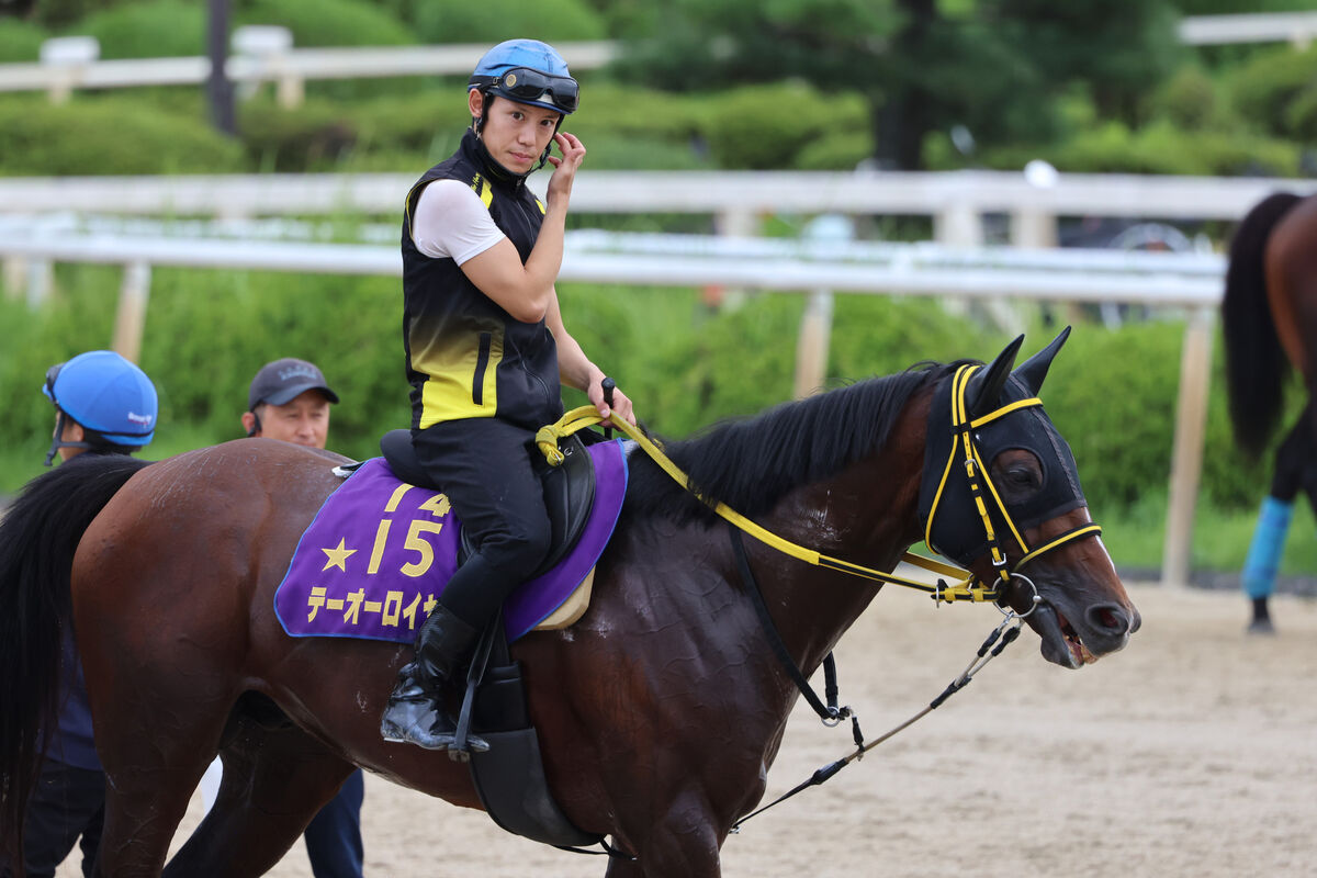 テーオーロイヤルが左前脚を痛めジャパンＣを回避　有馬記念参戦も視野　岡田調教師「現状では五分五分」