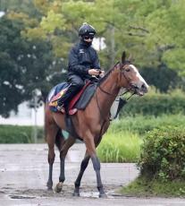 【注目馬動向】２冠牝馬チェルヴィニアはジャパンＣでルメール騎手とコンビ継続