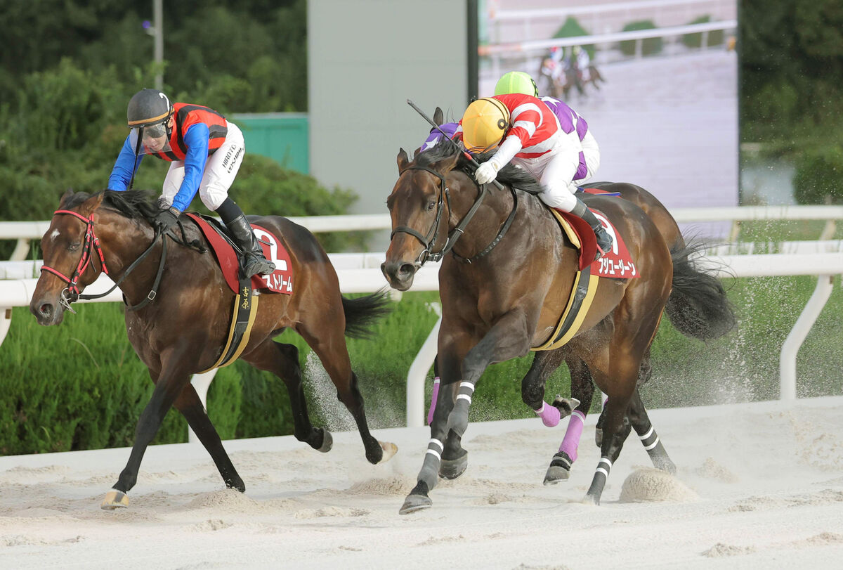 【園田・楠賞】岩手２冠馬フジユージーンど根性Ｖ　３頭の叩き合い制す　岩手所属馬初の兵庫重賞制覇