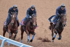 【福島記念】枠順確定　ルーキー騎乗の３歳馬は８枠１６番から人馬ともに重賞初Ｖを目指す