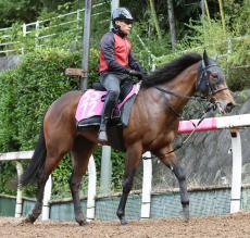 【デイリー杯２歳Ｓ】福永厩舎のランフォーヴァウは５枠５番に決定　ダイシンラーは１枠１番