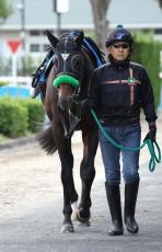 【武蔵野Ｓ】初のマイルに挑むダート連対率１００％馬は６枠１０番　ムーア騎手騎乗のタマモロックは７枠１２番　枠順確定