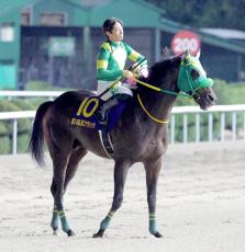 【注目馬動向】ＪＢＣクラシックを制したウィルソンテソーロはチャンピオンズＣへ　引き続き川田将雅騎手とコンビ