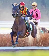 【京都ジャンプＳ】１番人気スマイルスルーが３連勝で重賞初制覇　高田潤騎手「相当高い能力を秘めている」