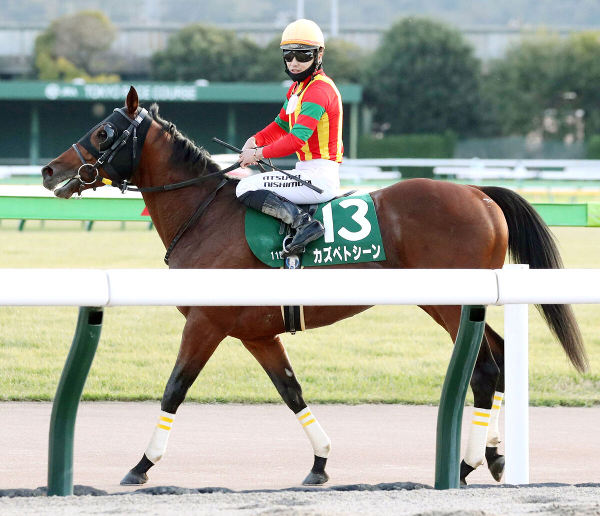 【武蔵野Ｓ】重賞初挑戦カズペトシーン最速の上がりで追い込み２着　西村淳也騎手「勝った馬が強かった」