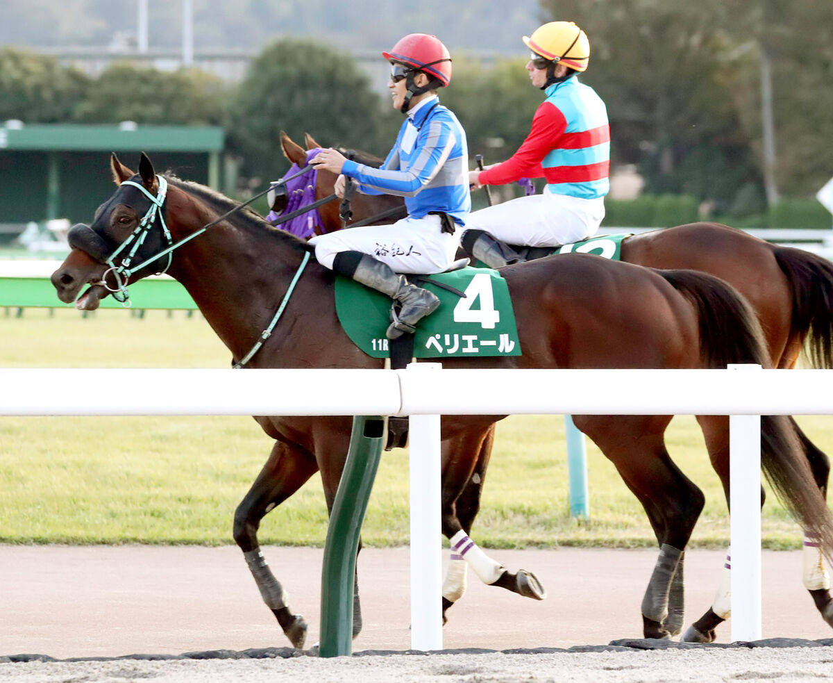 【武蔵野Ｓ】４番人気ペリエール鋭く伸びるも僅差３着　石川裕紀人騎手「やったかと思ったけど…」