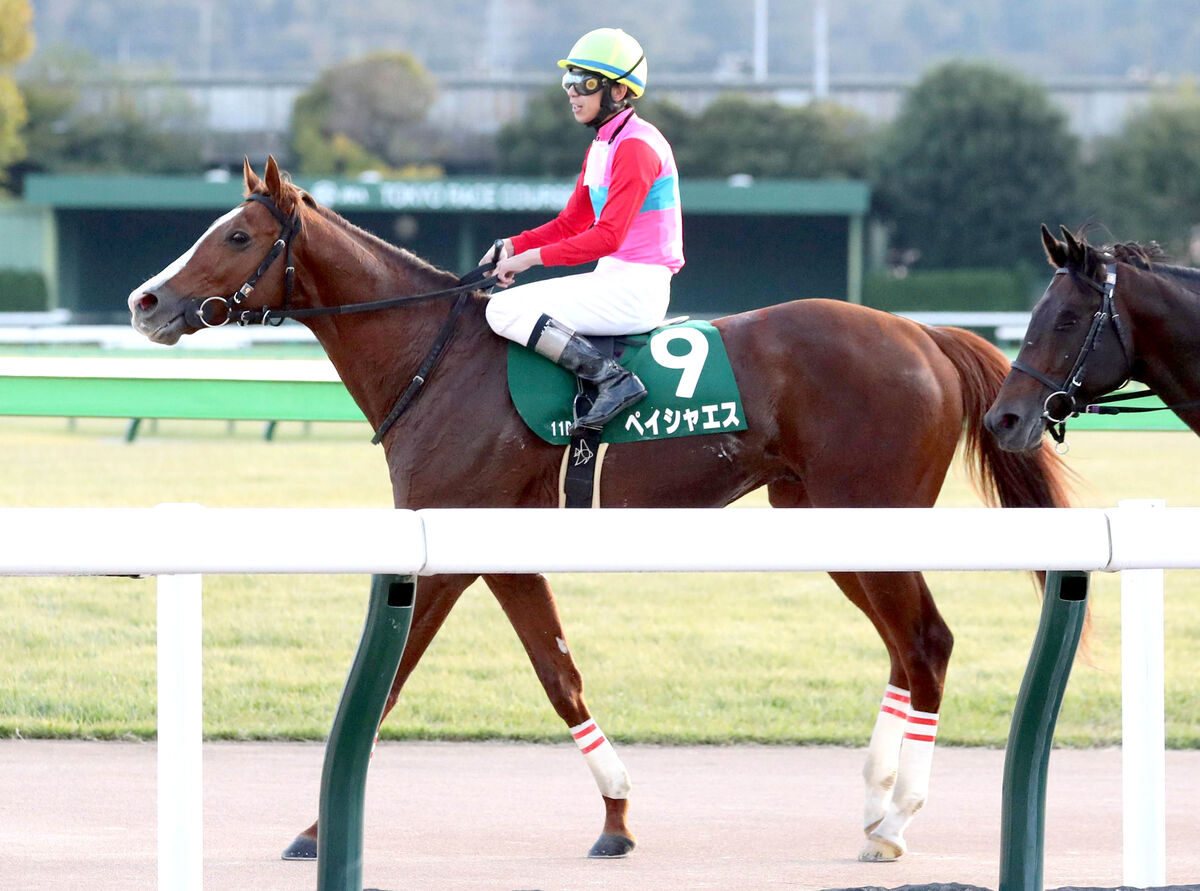 【武蔵野Ｓ】重賞連勝狙ったペイシャエス直線いったん先頭も４着　横山和生騎手「秋初戦としてはいい競馬」