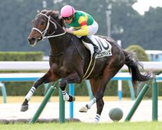 【京都５Ｒ・２歳新馬】１番人気エコロディノスが快勝　今年ＪＲＡ初勝利のムーア騎手「ポテンシャルがある」