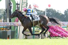 エリザベス女王杯当日の京都競馬場の芝の状態は…　岩田望来騎手「非常にいいですよ」