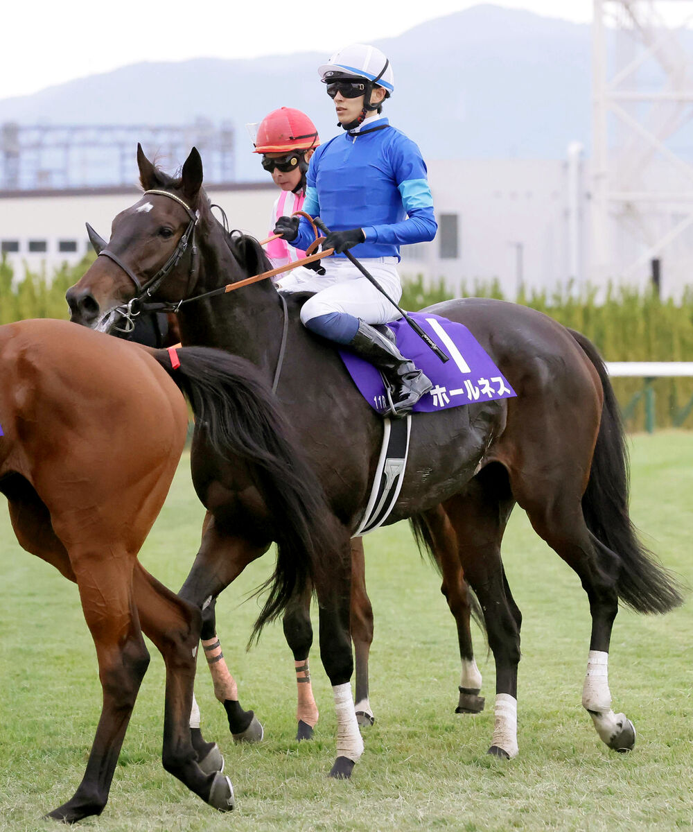 【エリザベス女王杯】Ｇ１初挑戦のホールネスが直線伸びて３着　初コンビの坂井瑠星騎手「いい内容で走れました」