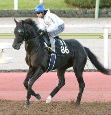 【東京スポーツ杯２歳Ｓ・水納の特注馬】今年の大物候補はクロワデュノール！　新馬戦が衝撃的Ｖ