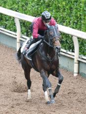 芝中距離で６戦５勝の素質馬が仕切り直しで今年の２戦目を迎える　ハンデは５７・５キロに決定