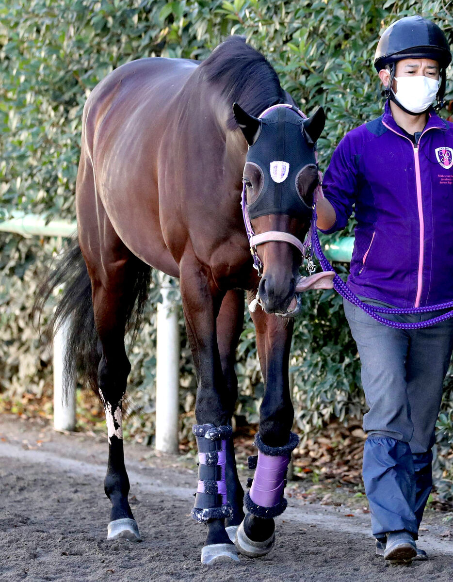 【東京スポーツ杯２歳Ｓ】同舞台で完勝のプレシャスデイは上積み十分　陣営「（横山武史）ジョッキーも…」