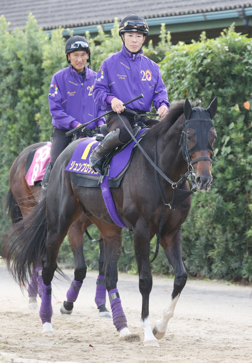 【マイルＣＳ】Ｇ１初挑戦Ｖ狙うジュンブロッサム　友道調教師「あとは天気だけ」