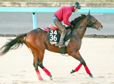 【東スポ杯２歳Ｓ】「広いコースが合う」松永幹夫師期待の良血馬が２戦目の出世レースで才能開花させる